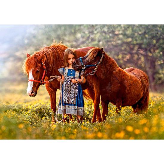 Puzzle Castorland Mi Pequeño Pony de 500 Piezas