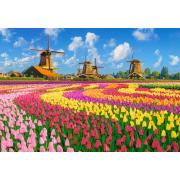 Puzzle Castorland Molinos Holandeses entre Tulipanes de 1000 Pie