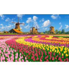 Puzzle Castorland Molinos Holandeses entre Tulipanes de 1000 Pie