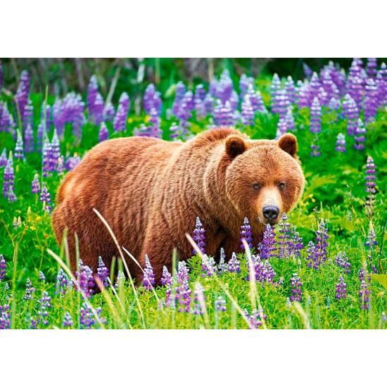 Puzzle Castorland Oso en el Prado 500 Piezas