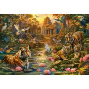 Puzzle Castorland Paraíso De Los Tigres de 1000 Piezas