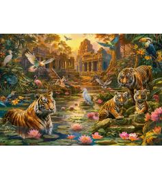 Puzzle Castorland Paraíso De Los Tigres de 1000 Piezas
