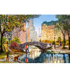 Puzzle Castorland Paseo Al Anochecer por Central Park de 1000 P