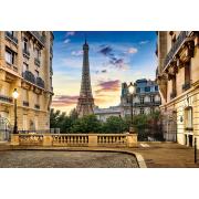 Puzzle Castorland Paseo en París al Atardecer de 1000 Pzs