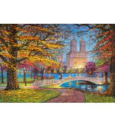 Puzzle Castorland Paseo Otoñal, Central Park de 1500 Piezas