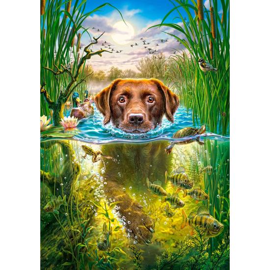 Puzzle Castorland Perro Nadador 500 Piezas