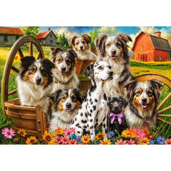 Puzzle Castorland Perros Felices En El Campo de 1000 Piezas