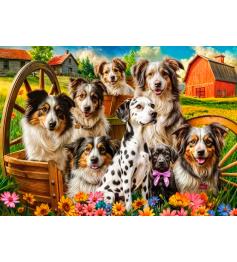 Puzzle Castorland Perros Felices En El Campo de 260 Piezas