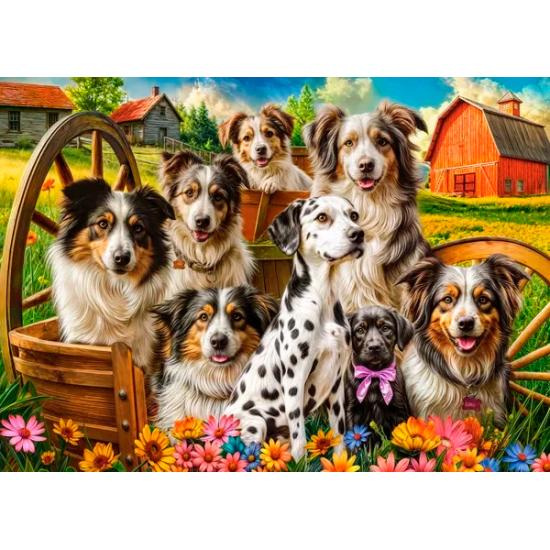 Puzzle Castorland Perros Felices En El Campo de 260 Piezas