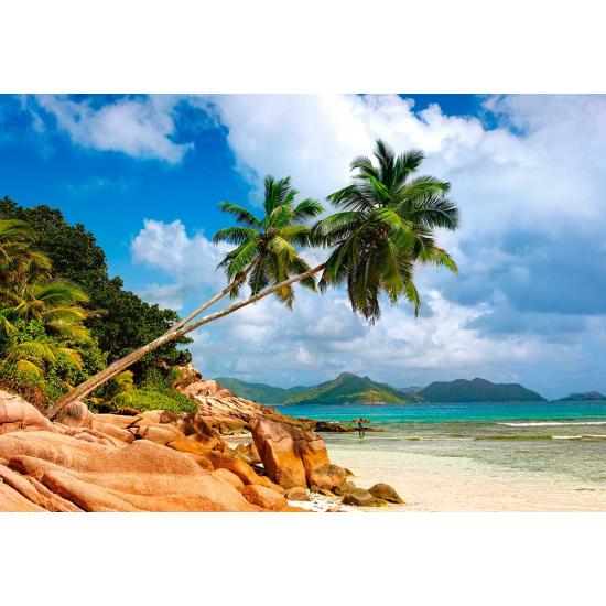 Puzzle Castorland Playa Secreta, Seychelles de 1000 Piezas