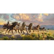 Puzzle Castorland Pradera Del Trueno de 4000 Piezas