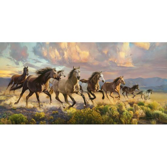 Puzzle Castorland Pradera Del Trueno de 4000 Piezas