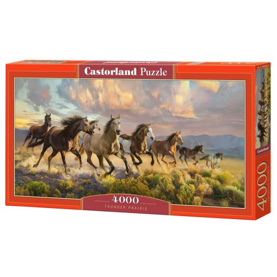 Puzzle Castorland Pradera Del Trueno de 4000 Piezas