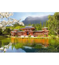 Puzzle Castorland Réplica del viejo Templo Byodoin de 1000 Piez
