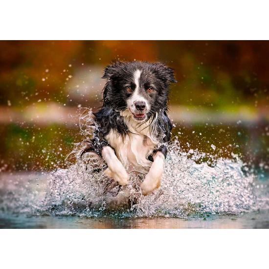 Puzzle Castorland Saborando la Libertad de 500 Piezas Puzzle Castorland Saborando la Libertad de 500 Piezas