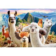 Puzzle Castorland Selfie de Llamas de 1000 Piezas
