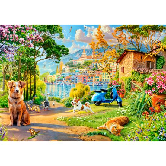 Puzzle Castorland Sendero Del Lago de 500 Piezas