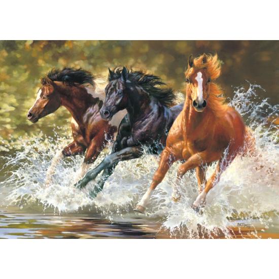 Puzzle Castorland Splash de 500 Piezas Puzzle Castorland Splash de 500 Piezas