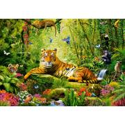 Puzzle Castorland Su Majestad, El Tigre de 500 Piezas