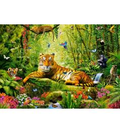 Puzzle Castorland Su Majestad, El Tigre de 500 Piezas