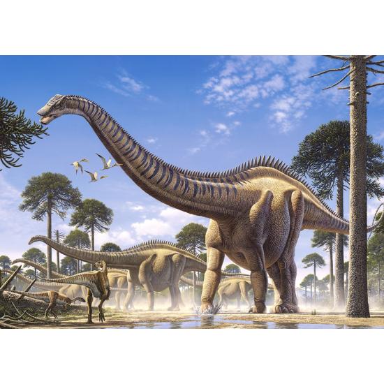 Puzzle Castorland Supersaurus de 1000 Piezas Puzzle Castorland Supersaurus de 1000 Piezas