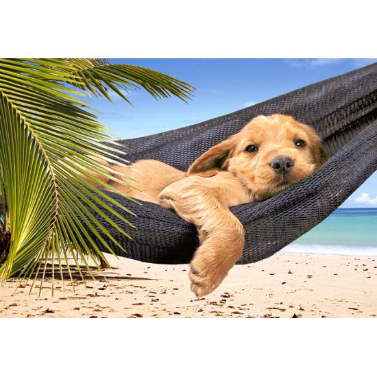 Puzzle Castorland Tiempo de Descanso de 500 Piezas