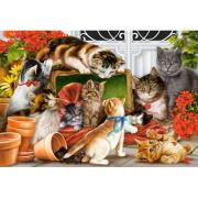 Puzzle Castorland  Tiempo de Juego de Gatitos  de 1500 Piezas
