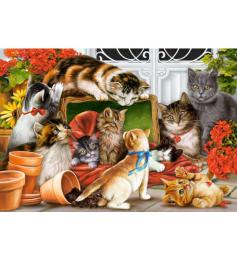 Puzzle Castorland  Tiempo de Juego de Gatitos  de 1500 Piezas
