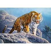 Puzzle Castorland Tigre en las Rocas de 500 Piezas