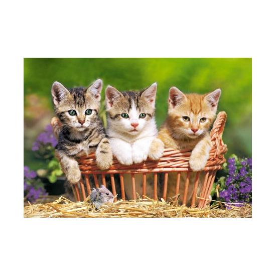 Puzzle Castorland  Tres Adorables Gatitos de 500 Piezas Puzzle Castorland  Tres Adorables Gatitos de 500 Piezas