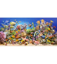 Puzzle Castorland Vida Submarina en el Arrecife de 4000 Piezas