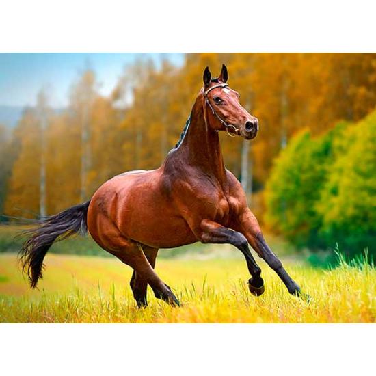 Puzzle Castorland Viento de Otoño de 180 Piezas