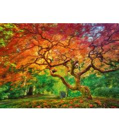 Puzzle Cherry Pazzi Árbol Salpicado Rojizo de 1000 Piezas