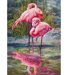 Puzzle Cherry Pazzi Flamencos de 1000 Piezas