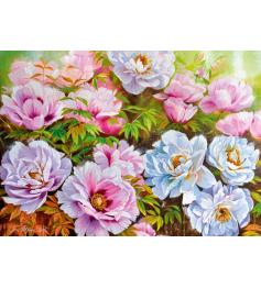 Puzzle Cherry Pazzi Flores, Poenyssimo Opus 5 de 1000 Piezas