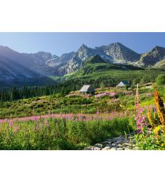 Puzzle Cherry Pazzi Hala Gasienicowa, montañas Tatra de 1000 Pz