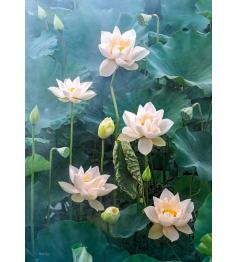 Puzzle Cherry Pazzi Loto Blanco de 1000 Piezas