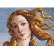 Puzzle Cherry Pazzi Retrato de Venus de 1000 Piezas