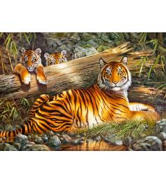 Puzzle Cherry Pazzi Tigre en Calma de 1000 Piezas