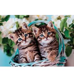 Puzzle Clementoni Adorables Gatitos Gemelos 60 Piezas