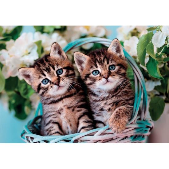 Puzzle Clementoni Adorables Gatitos Gemelos 60 Piezas