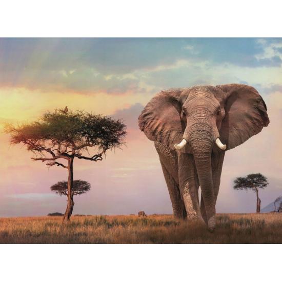 Puzzle Clementoni Atardecer Africano de 500 Piezas Puzzle Clementoni Atardecer Africano de 500 Piezas