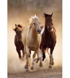 Puzzle Clementoni Caballos Corriendo de 1000 Piezas