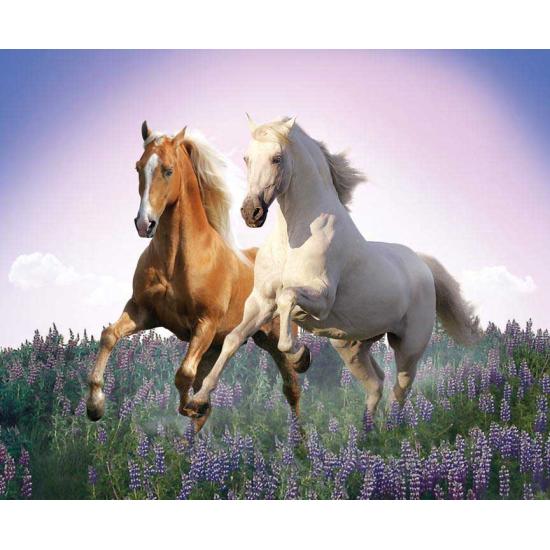 Puzzle Clementoni Caballos Libres de 500 Piezas