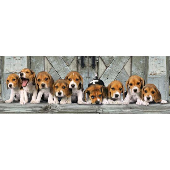 Puzzle Clementoni Cachorros de 1000 Piezas