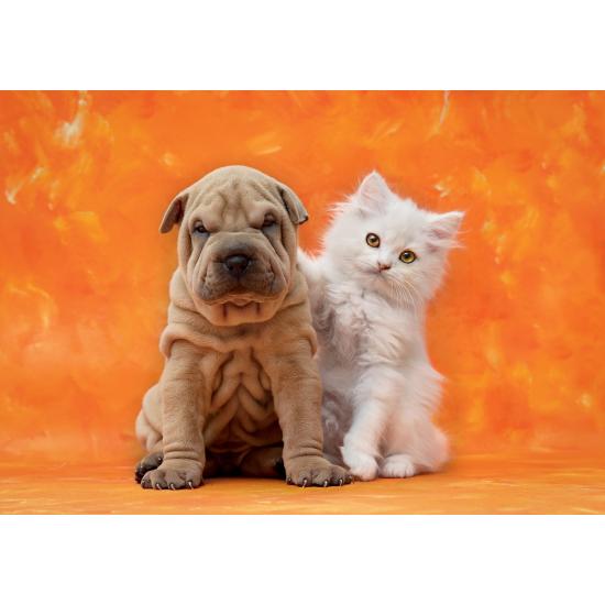 Puzzle Clementoni Cachorros muy Lindos de 1500 Piezas Puzzle Clementoni Cachorros muy Lindos de 1500 Piezas