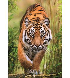 Puzzle Clementoni El Camino del Cazador de 1000 Piezas