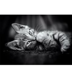 Puzzle Clementoni Gatito de 1000 Piezas