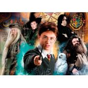 Puzzle Clementoni Harry Potter 2 de 500 Piezas