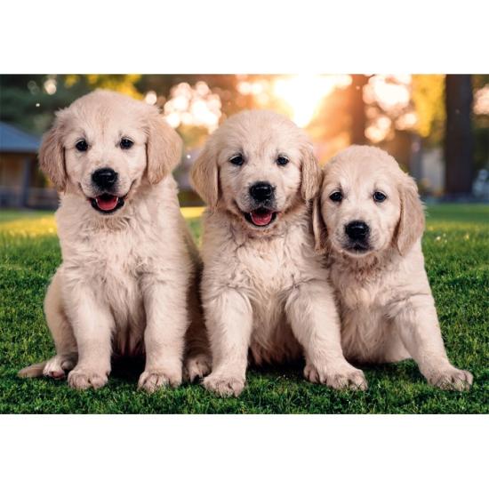 Puzzle Clementoni Hermanos Peludos de 2 x 60 Piezas